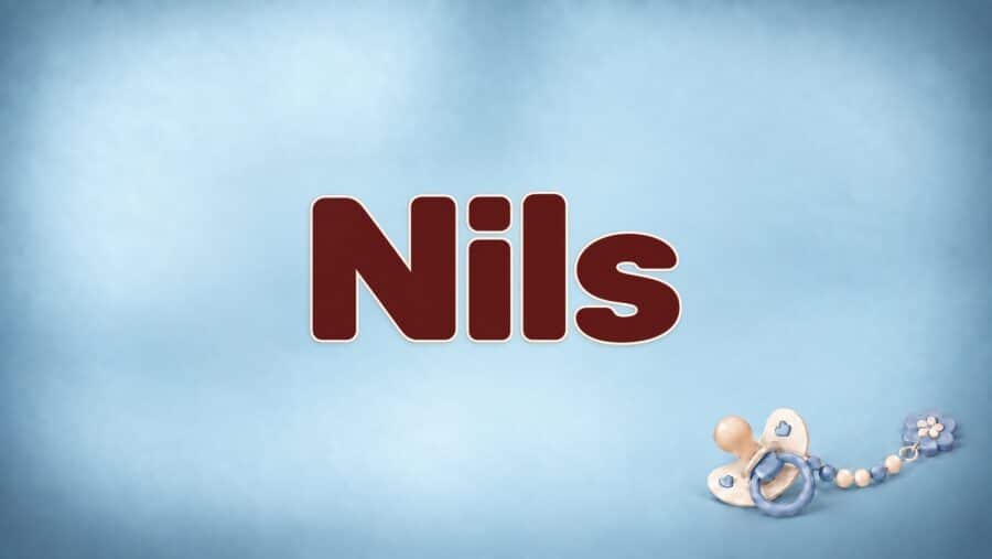 Nils: Bedeutung, Herkunft und die Geschichte mit den Wildgänsen