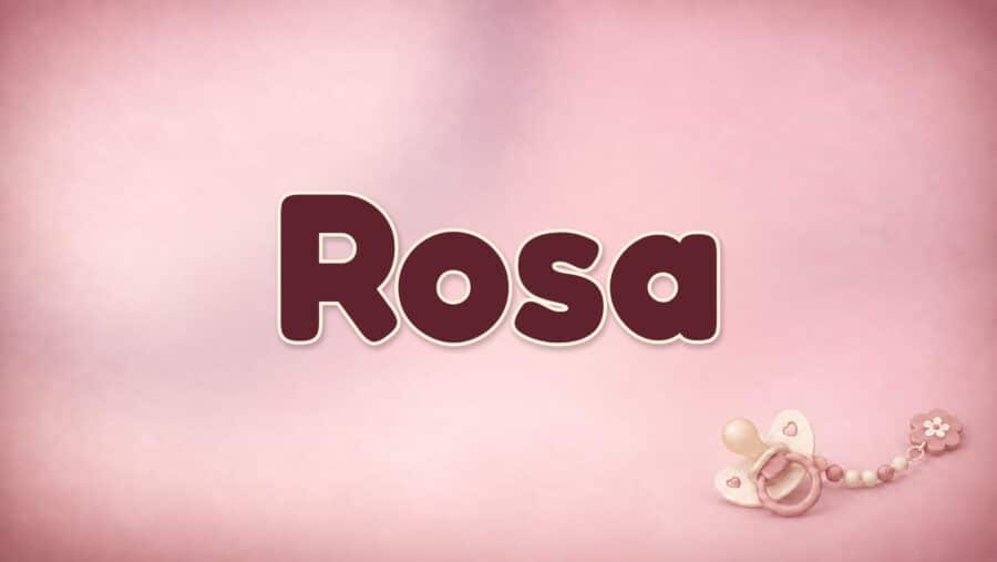 Rosa: Bedeutung, lateinische Herkunft und die Rose im Namen