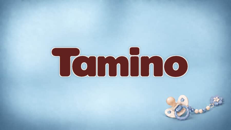 Tamino: Bedeutung und Herkunft des Namens aus der Zauberflöte