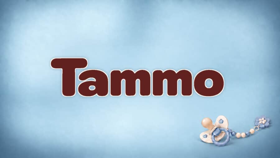 Tammo: Friesische Herkunft und Bedeutung des Jungennamens
