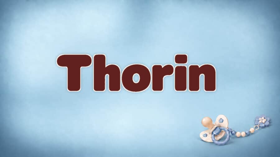 Thorin: Bedeutung, Herkunft und Häufigkeit des Jungennamens