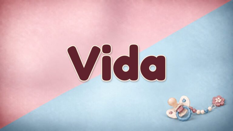 Vorname Vida auf rosa-blauem Hintergrund mit Schnuller und Schnullerkette