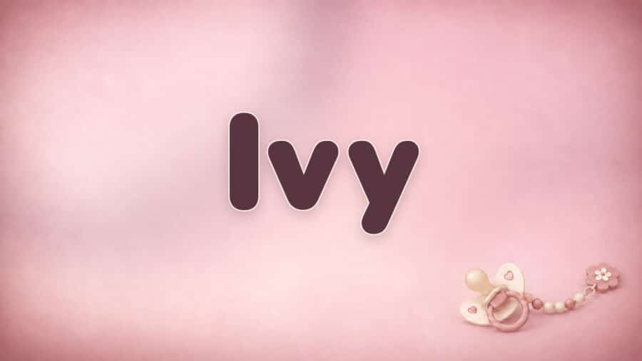 Ivy: Bedeutung, englische Herkunft und Aussprache