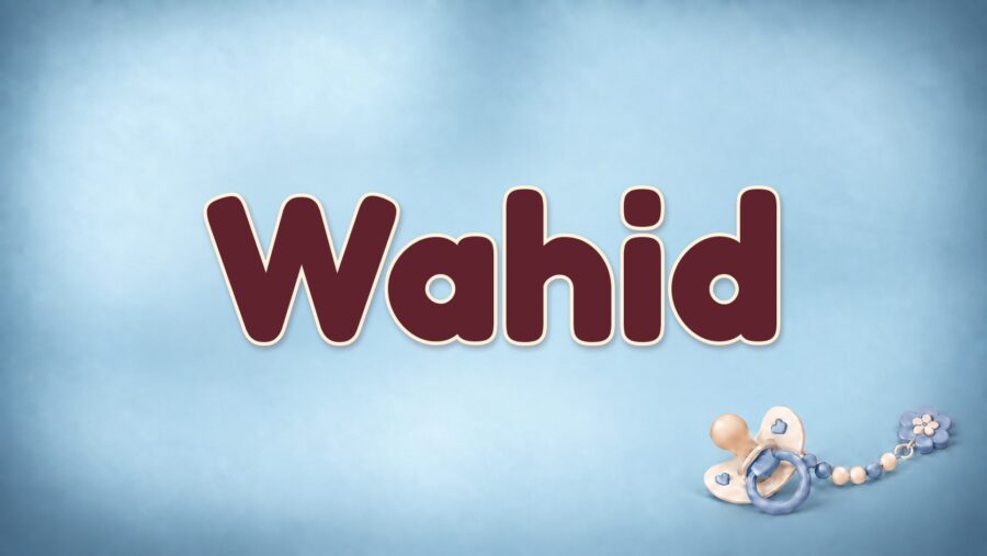 Wahid: Bedeutung „einzigartig“, arabische Herkunft und die Form Waheed