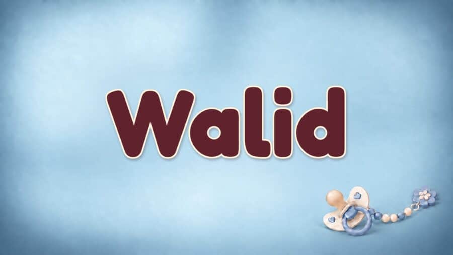 Walid: Bedeutung „der Neugeborene“, arabische Herkunft und Aussprache
