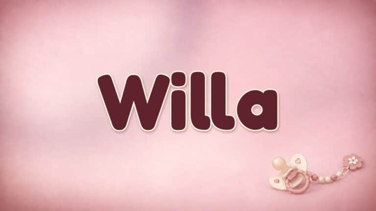 Vorname Willa in Bordeaux auf altrosa Hintergrund mit Schnuller und Schnullerkette