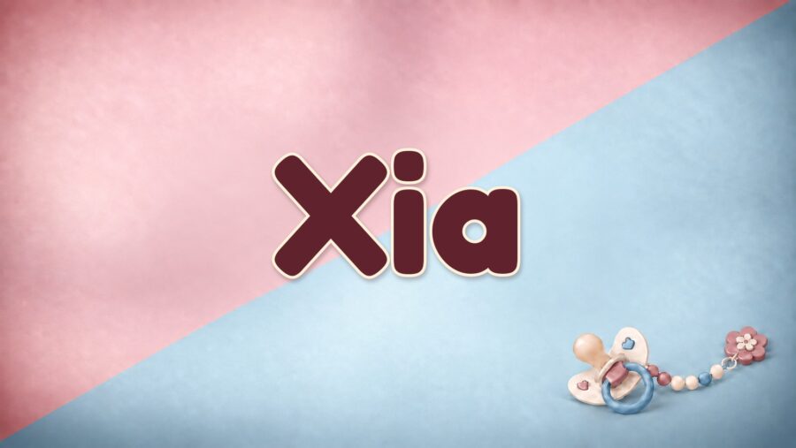 Xia: chinesische Herkunft, „Sommer“ und „rosige Wolken“ als Bedeutungen
